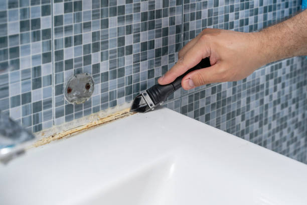 Best Mold Remediation  in , ND